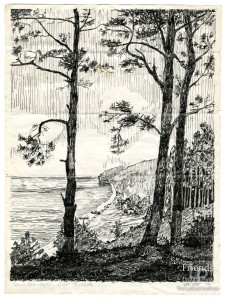 New items added each week!